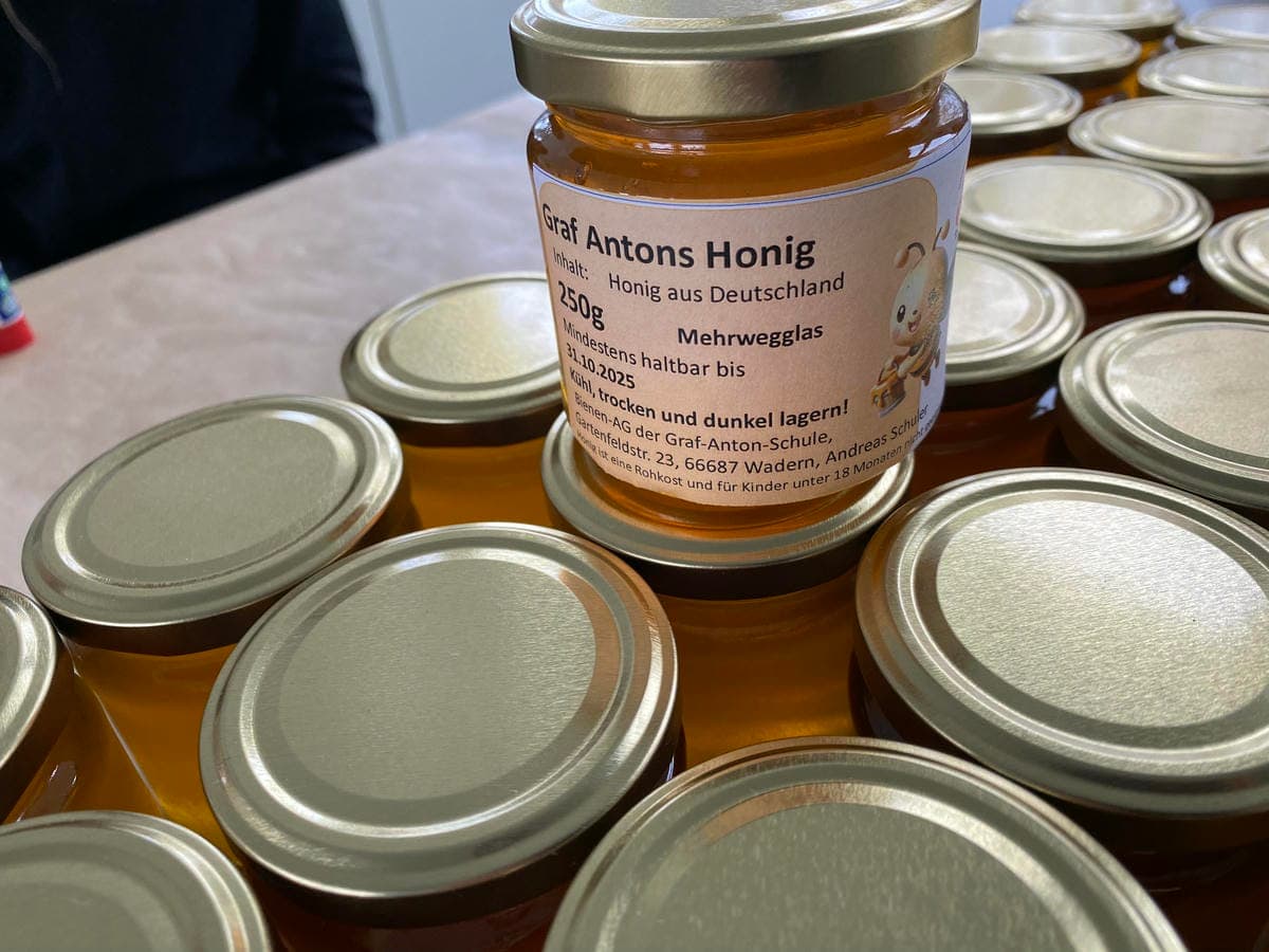 Honigernte 2024