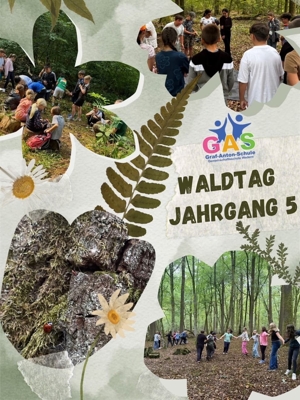 Waldtag im Jahrgang 5