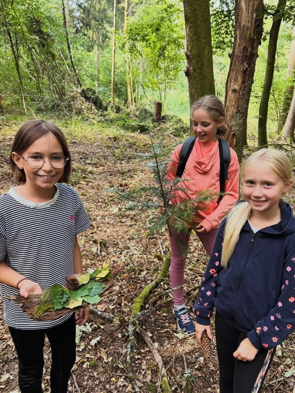 Waldtag im Jahrgang 5