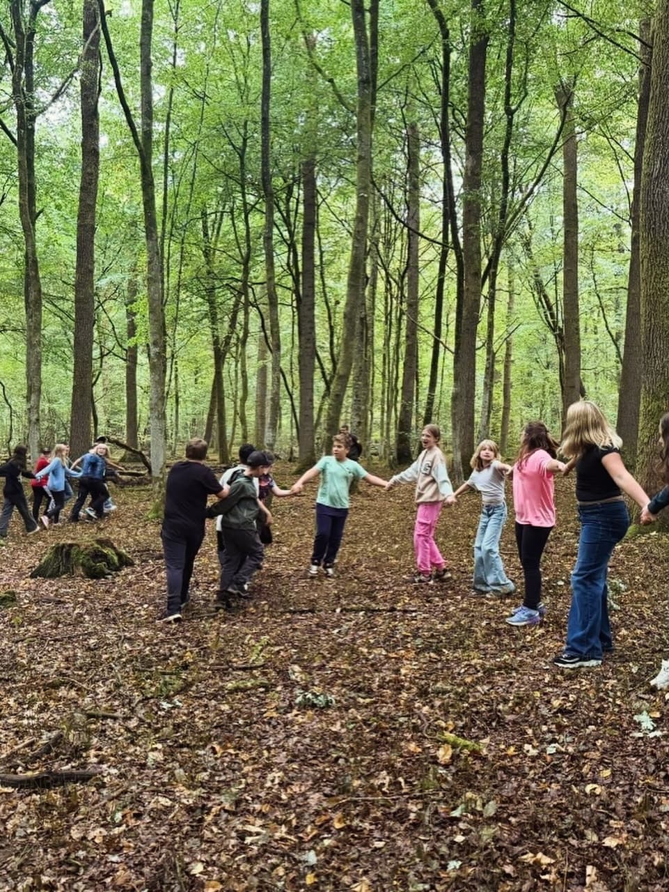 Waldtag im Jahrgang 5