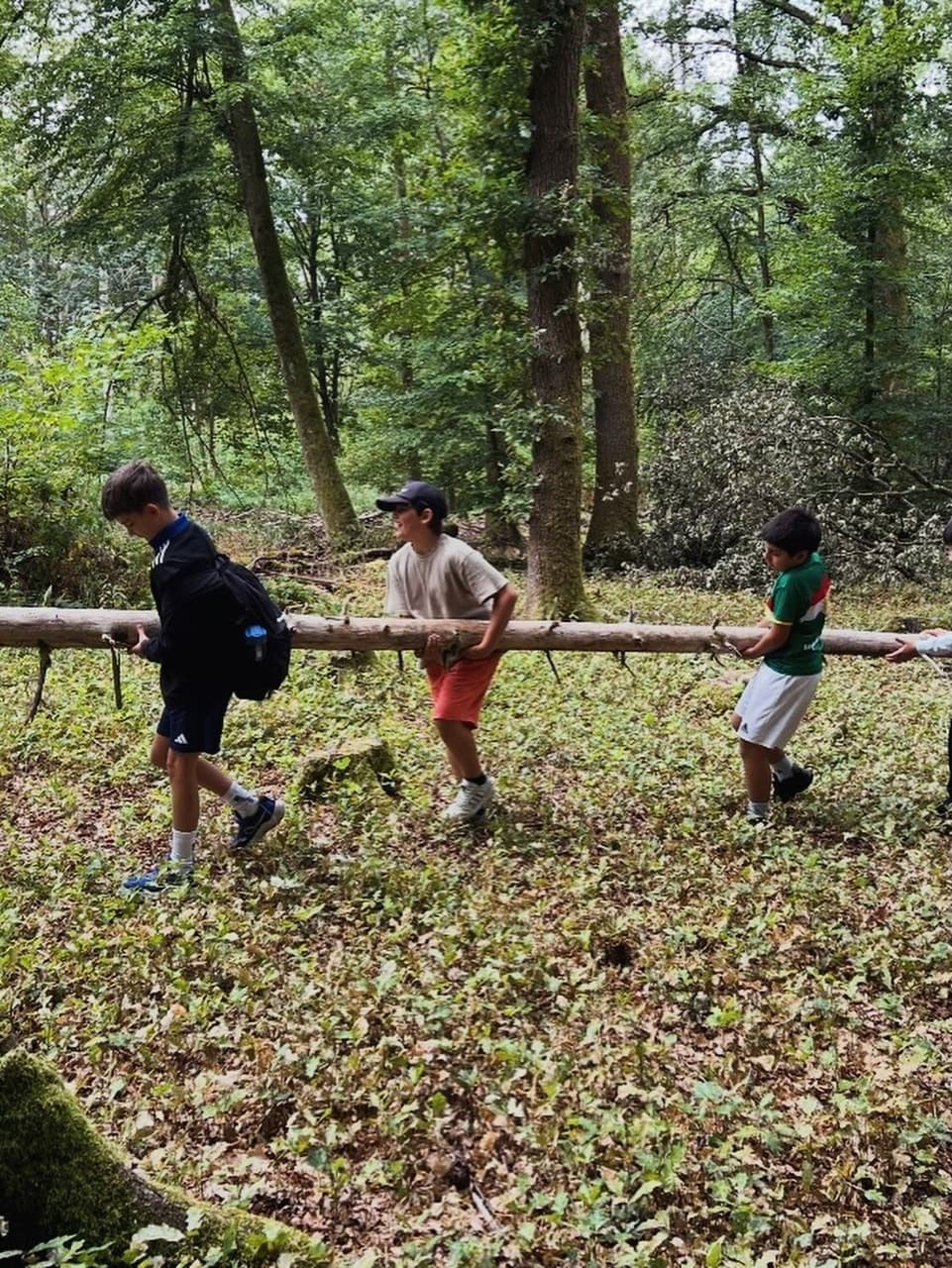 Waldtag im Jahrgang 5